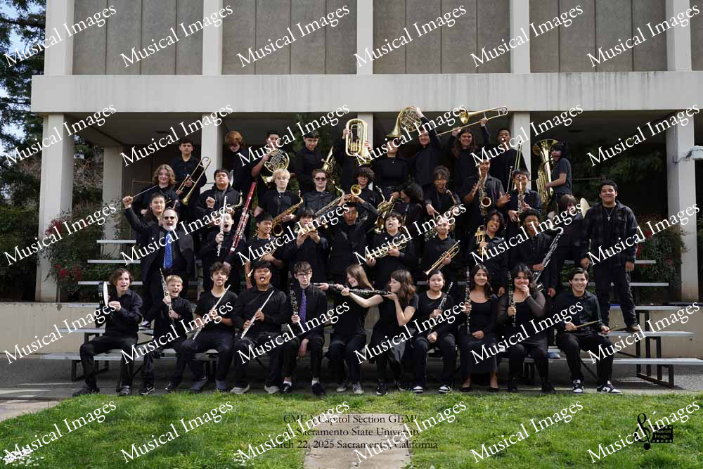 Musical Images